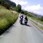 scorpion_2005