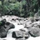 luana-da-guia-fernandes-9