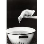 ctc333