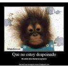 jusafe