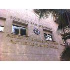 palmontejodio
