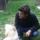mirkolippo