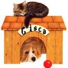 cisca_hierro92
