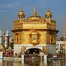 sharad_984-avatar