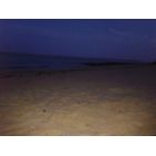 wad-ras_