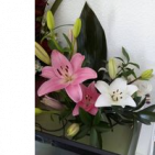anabela-ferreira-esteves-esteves-12