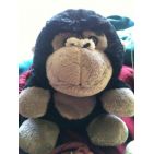 laracajiderey