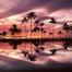 Roberto_880