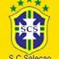 Selecao2010