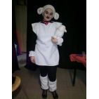 liloo71