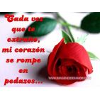 pilarsolaz3