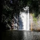 bart_79