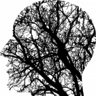 El_Michi