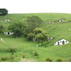 chinvale