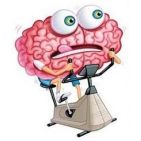 neurita