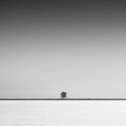 marcomora7