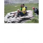tofli13