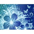 sandra_933009