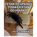beamon