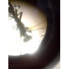 cloroplasta