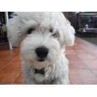 mariarubio-2