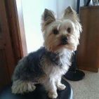 cuquetaa