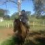 dinael-simao-bitner-8-avatar
