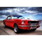 mustang20