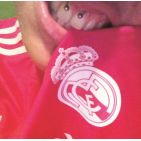 jcmtlagarto