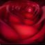 assucena-chissico-12-avatar