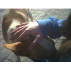 andream96