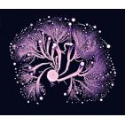 casarbol