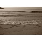 faith169