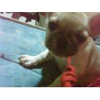 toby14-1