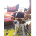 guillegrh