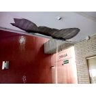bryandg