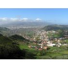amarferq