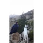 jarconesm