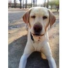 anamariacamposa