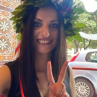 vane_vi
