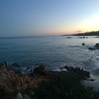 saraci1