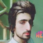 waleed.niaz