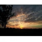 ane_olivenza-1