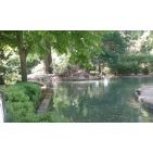clarity-5