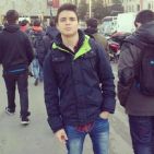 moiseswick