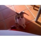 juquisan
