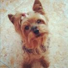 carla_steph-1