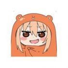 pelu_1616