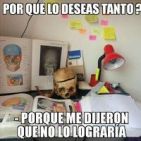 camilo.palles
