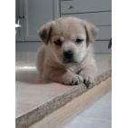 patti24_